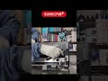 Canon Printer Head Cleaning & Servicing | Improve Print Quality