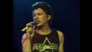 Watch Herman Brood Rock  Roll Junkie video