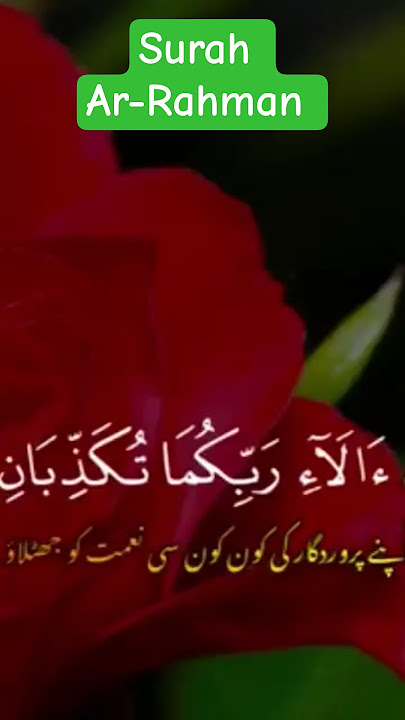 Surah Ar-Rahman with Translation | Mercy of Allah | Emotional #quranrecitation #tarjumaquran