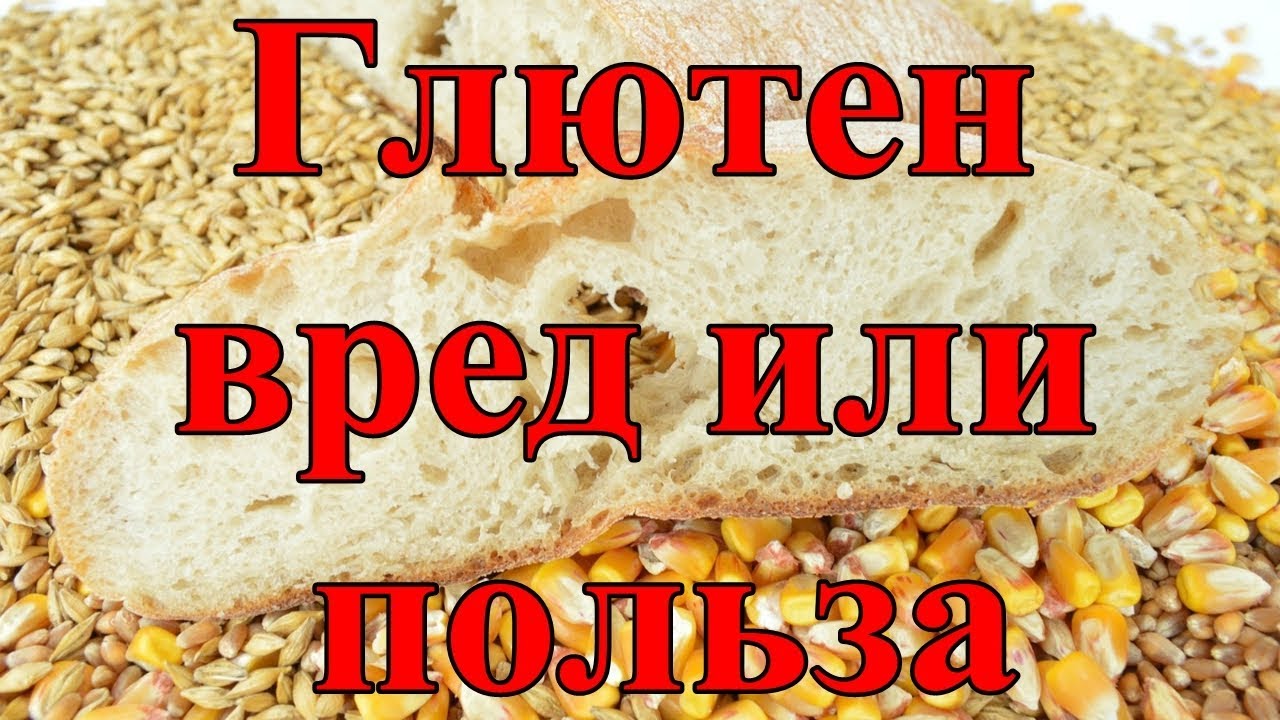 Чем вреден глютен для организма. Глютен польза или вред. Глютен вреден. Глютен полезен или вреден. Глютен что это такое польза и вред.