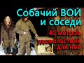 Как соседям собака? Растяжка через весь участок и новый дом для собаки.