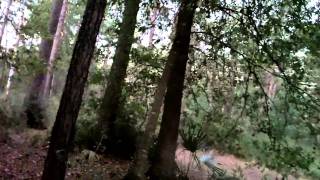 This ごみ WILL even make the Blair Witch SICK! Read description first!