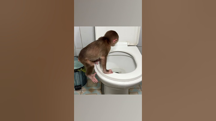 Monkey NANA poops without dad's help #shorts #smartmonkey #babymonkey #monkey #monkeybaby #animals