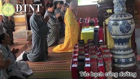#4 TÁC BẠCH CÚNG DƯỜNG || AN CƯ KIẾT HẠ || THẦY ĐỨC NHÂN