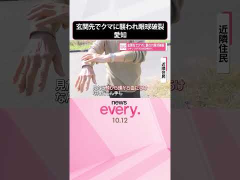 【クマ】玄関先で男性が襲われ眼球破裂  ツキノワグマの出没相次ぐ  愛知･豊田市  #shorts