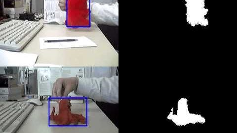 Maximally Stable Extremal Region (MSER) Tracking