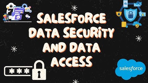 Data Security and Access Level in Salesforce | Salesforce Data Security and Data Access