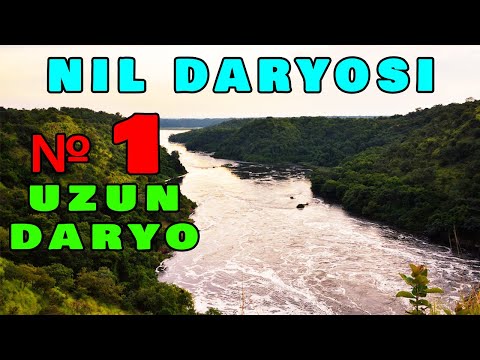 Nil Daryosi / Нил Дарёси