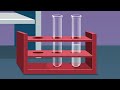 Neutralization Reaction Quiz