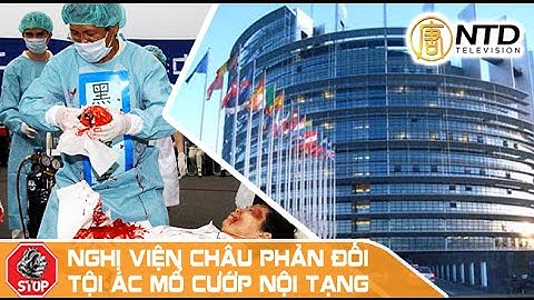 Nghi viện Châu Âu thông qua nghị quyết phản đối nạn Mổ cướp nội tạng tại Trung Quốc - Phần II
