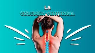 ¡La Columna Vertebral Revelada! 🌟