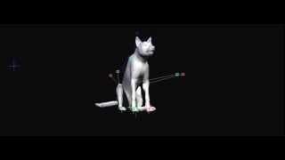 Wolf howl Animation