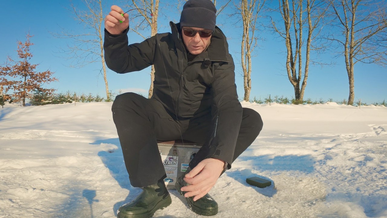 Nė velnio - jie žiemą nemiega! Karosai ir ne tik, puikiai kimba kiemo kūdroje.