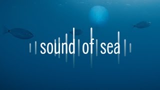 Sound Of Sea – Sea Shepherd