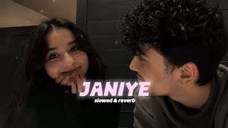 Janiye ( slowed & reverb ) | Vishal Mishra & Rashmeet kaur | Chor nikal ke bhaga