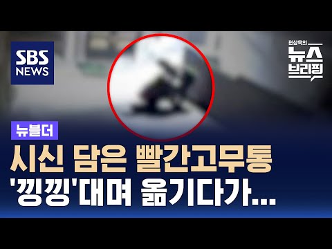 20년 키워준 의붓어머니 살해 뒤 암매장…CCTV에 덜미 잡혔다 / SBS / 뉴블더