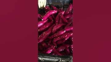 Máy rửa khoai lang - củ cải- cà rốt- 2018 - Lâm Đồng