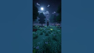 The Enderman Who Loved Flowers #minecraft #enderman #minecraftstory