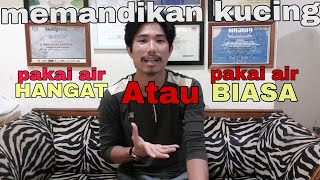 Mandikan kucing pakai air hangat atau air biasa ??