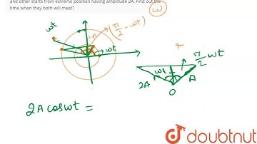 Two particles execute SHM of same time period but different amplitudes along the same line. One ...
