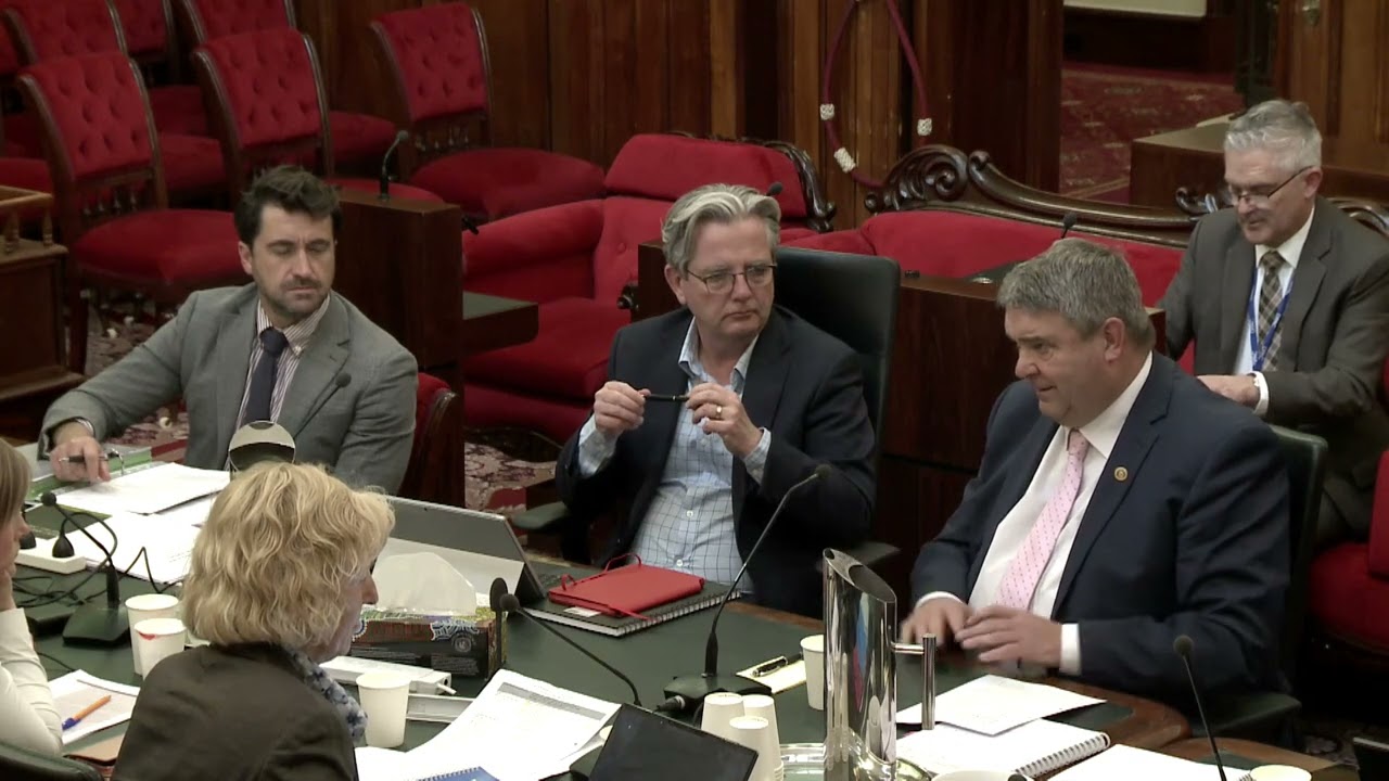 Bec Thomas MLC Budget Estimates, 2025 Questions, to the Minister for Local Government