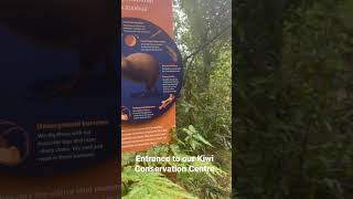 Kiwi Conservation Centre Te Puia Nzmaci Rotorua Nz