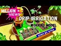 Drip irrigation working model for school dripirrigation educationals agriculture