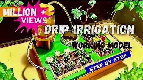 Drip irrigation working model for school #dripirrigation educational videos #agriculture