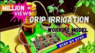 Drip irrigation working model for school #dripirrigation educational videos #agriculture