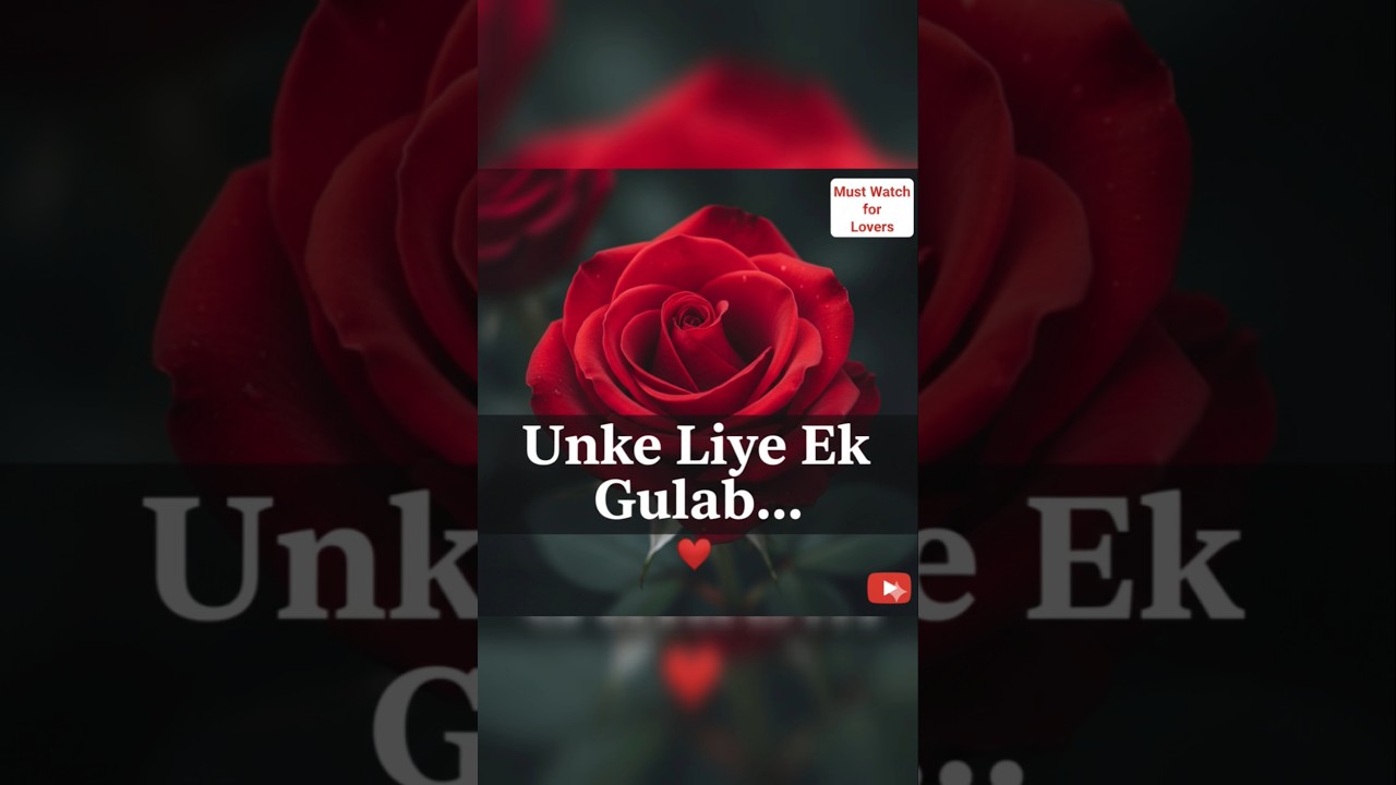 Happy rose day status 🌹 | Rose day status 2026 💗 | Rose day special status  