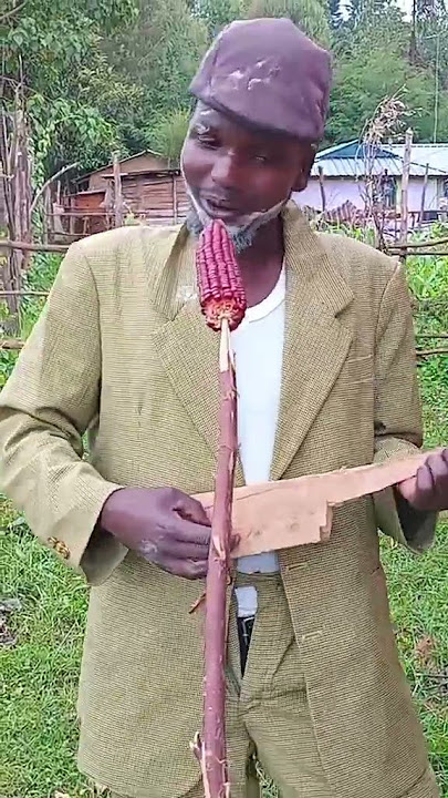Kasongo yeye song