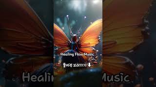🌿 숲소리 모음 Forest Awakening 새소리 명상음악 아침에듣기좋은음악 힐링
