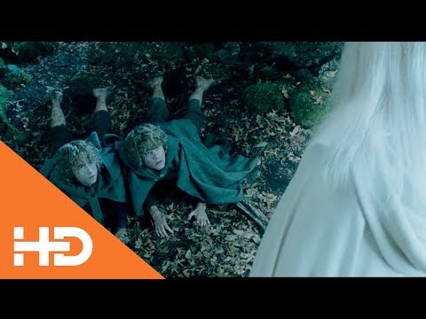 Судьбоносная встреча Мерри и Пиппина с Гэндальфом ✫ Властелин Колец: Две Крепости (2002)