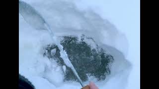 Аномалия в Подмосковье: вода под снегом в -15 С