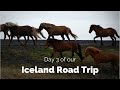 Iceland Road Trip Day 3: Geysir, Gullfoss, Seljalandsfoss