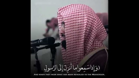 قرآن كريم بصوت ناصر القطامي 💛 | حالات واتس قران