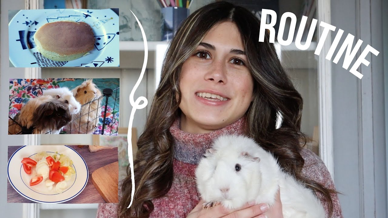 MA ROUTINE COCHONS D'INDE