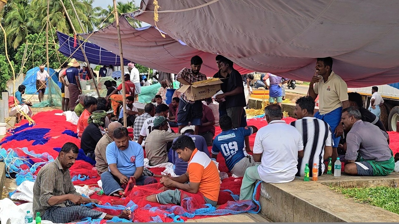 ചെട്ടിപ്പടിയിലെ മത്സ്യ തൊഴിലാളികൾക്ക് പറയാനുള്ളത് #fishing #fisherman #seafishing #fish 25.10.26