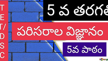 #tet /dsc 5th Evs 5th lesson imp points