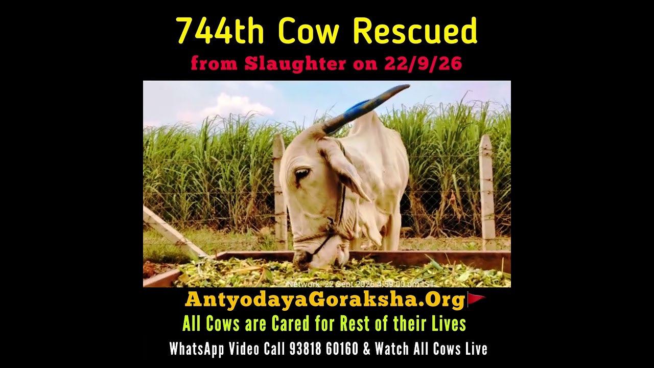 [22 Sept 2026] 744th Gomata Saved 🎉