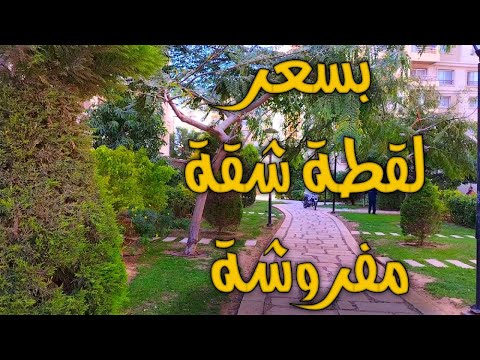 شقق مفروشة للإيجار بسعر لقطة في مدينتي