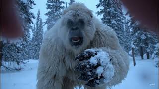 Bigfootโs Winter Workout Gone Wrong โ๏ธ๐ช