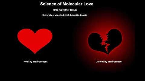 SciComm2020: Lightning Talk #G6 - Science of Molecular Love