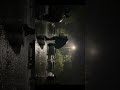 Felt like a T-Rex was about to appear, and they weren't wrong. Original video by SageScape Photo