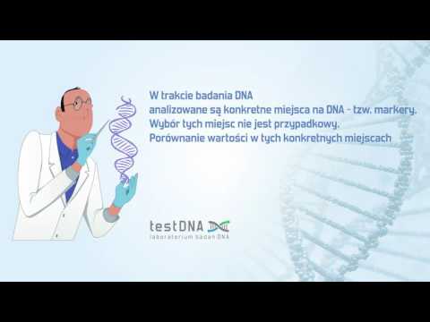 Test na ojcostwo