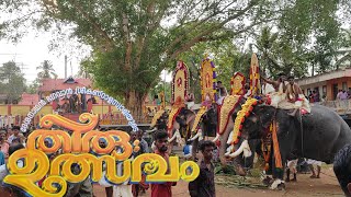 #pallickaltemple# #thiruvulsavam2024#കെട്ടുകാഴ്ച#keralatemplefestival#