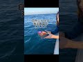 大分県　海洋葬　納骨堂or自然葬　大分の海洋散骨