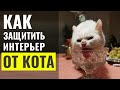 🙀 Как сделать интерьер безопасный для кота. Идеи для квартиры с кошками