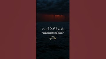 سورة قريش | ماهر المعيقلي #قران_كريم #اكسبلور