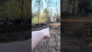 Trail clearing at Black Sheep. by Black Sheep Mountain 22 views 1 month ago 3 minutes, 1 second